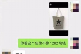 仪陇为什么选择专业追讨公司来处理您的债务纠纷？